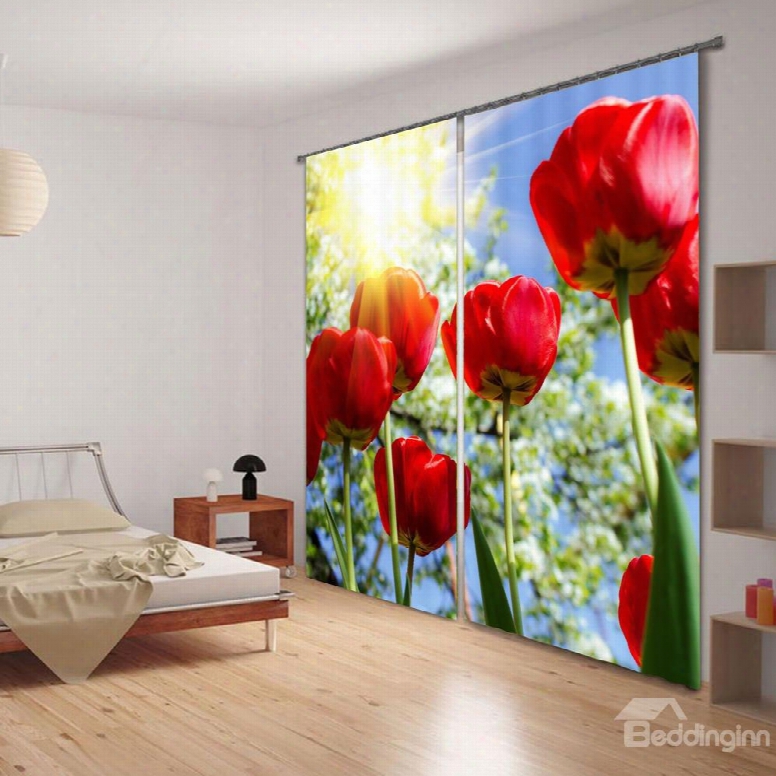 3d Gorgeous And Charming  Red Ros E With Sunlight Printed Custom Blackout Curtain