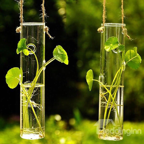 Concise And Creative Cylindrical Green Plant Glass Flower Vase Terrarium