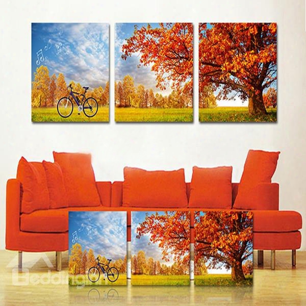 Golden Autumn Countryside Cycling 3-piece Crystal Film Art Wall Prints