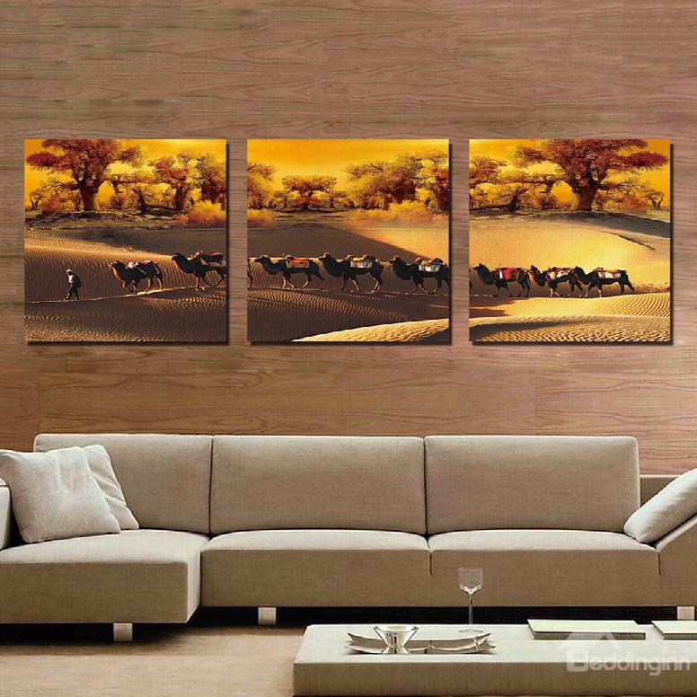 High Quality Camel 3-pieces Of Crystal Film Art Wall Print