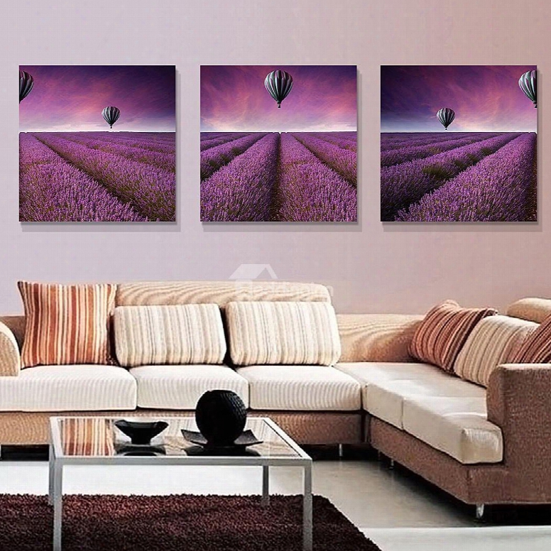 High Quality Pretty Flowers 3-pieces Of Crystal Film Art Wall Print