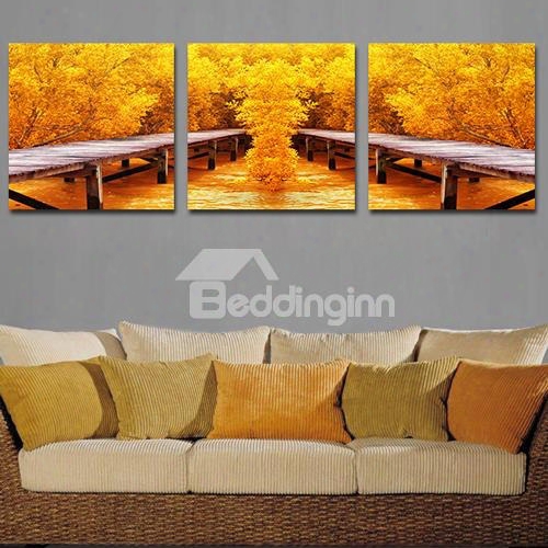 Pretty Autumn Sense 3-piece Crystal Film Art Wall Print