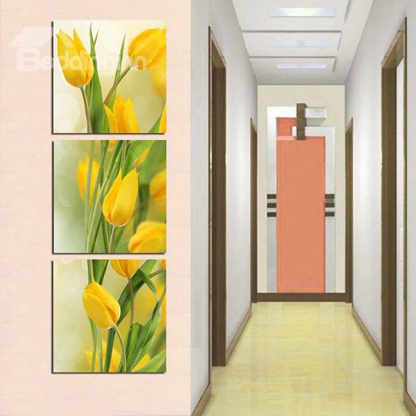 Beautiful Tulips Pattern Entrance 3-panel Canvas Wall Art Prints