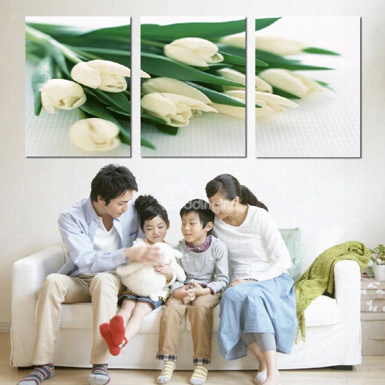 Charming White Tulips 3-piece Crystal Film Art Wall Print