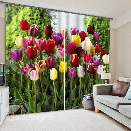 Colorful Tulips Printed Pastoral Style Custom 3d Curtain For Living Room