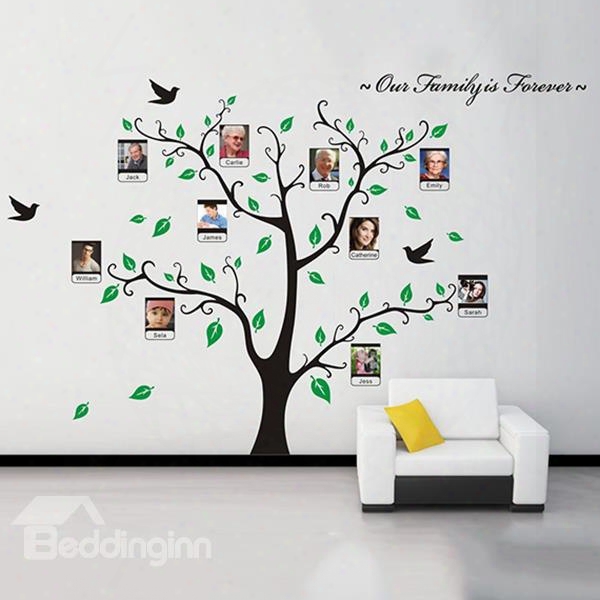 Family Is Forever Green Leaf Tree Design Wall Photo Frame Reomvable Wall Sticker