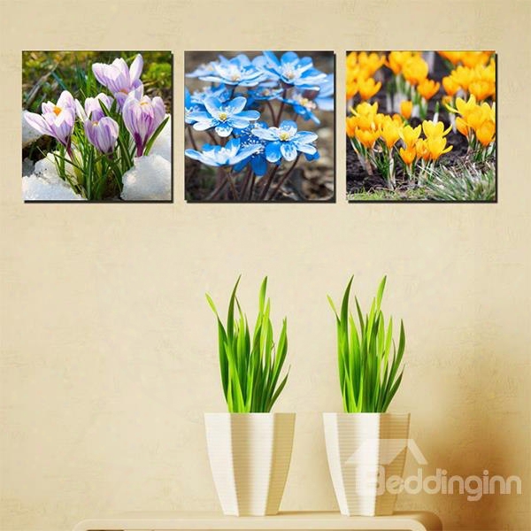 Showy 3-color Flower Canvas 3-panel Wall Art Prints