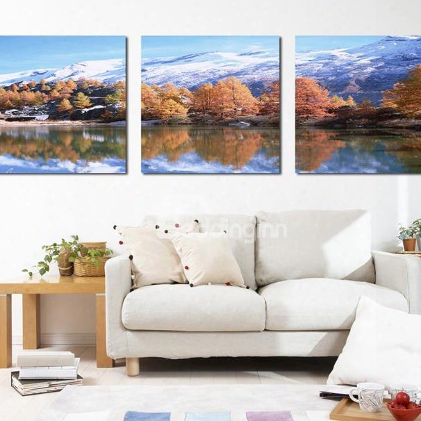 Pretty Winter Scenery 3-piece Crystal Film Art Wall Print