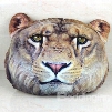 Creative Lion Head Pattern 3D Throw Pillow