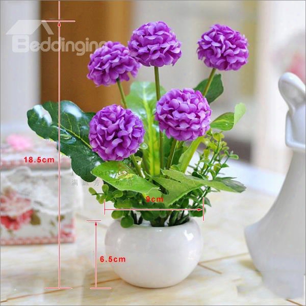 Stunning 4-color Hydrangea Flower Set With Pot