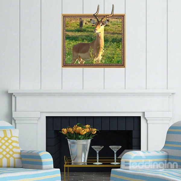 Fantastic Wild Gazelle Framed Removable 3d Wall Sticker