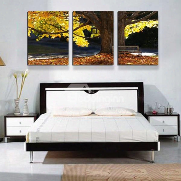Giant Sycamore Tree 3-panel Canvas Wal Lart Prints