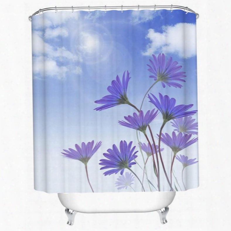 High Class Clear Sky Image 3d Shower Curtain