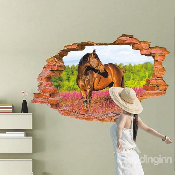 Horse Standing In Field And Hole 3d Wall Stickers