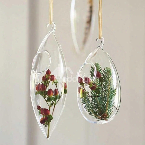 Modern And Concise Exquisite Home Decorative Glass Hanging Terrarium