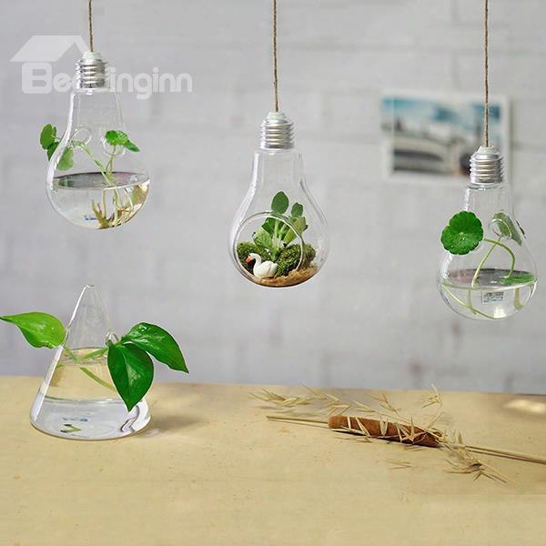 Modern And Creative Bulb Design Glass 1-piece Hanging Terrarium