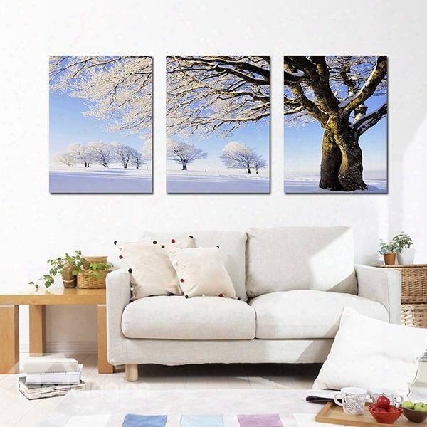 Unique Snow Covered Tree In Winter 3-panel Canvas Wall Art Prints