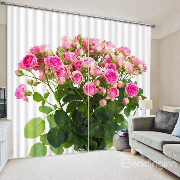 Vivid A Bunch Of Pink Roses Print 3d Blackout Curtain