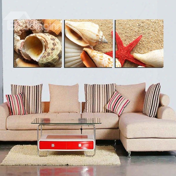 Wondrful Beach Theme Seashells And Starfish Pattern 3-panel Wall Art Prints