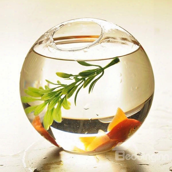 Wonderful Desktop Decoration Glass Fishbowl Flower Vase