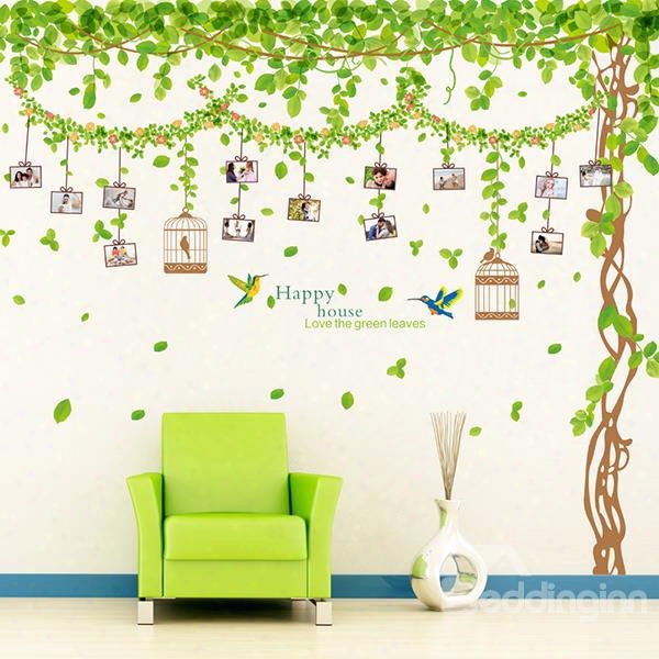 Wonderful Tree And Leaves Photo Invent Removable Wall Sticker