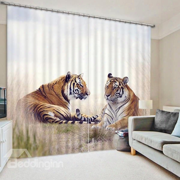 3d Chubby And Lovely Tigers Printed Animals Scenery 2 Panels Declrative Curtain