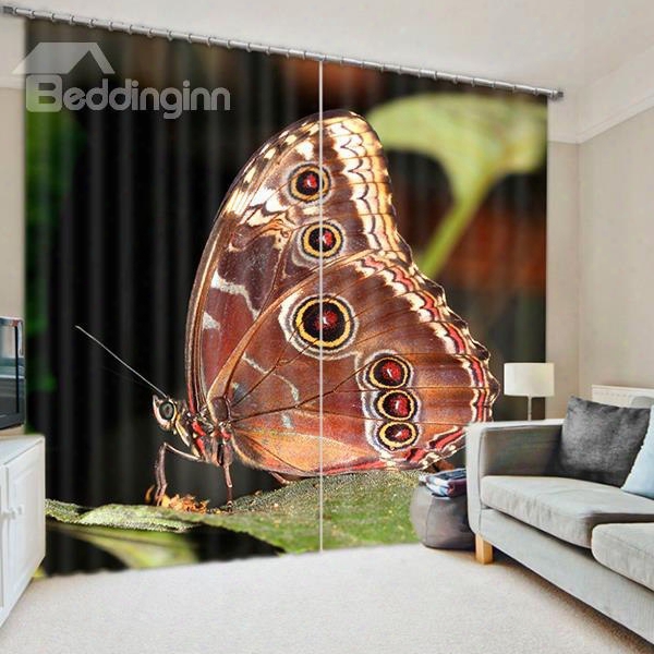 3d Lively Butterfly On The Leaves Printed Beautiful And Vivid Scenery Blackout Room Curtain