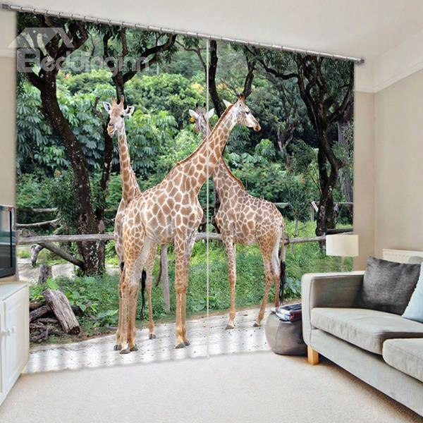 3d Three Giraffes Printed Wonderful And Vivid Scenery Decorative And Blackout Curtain