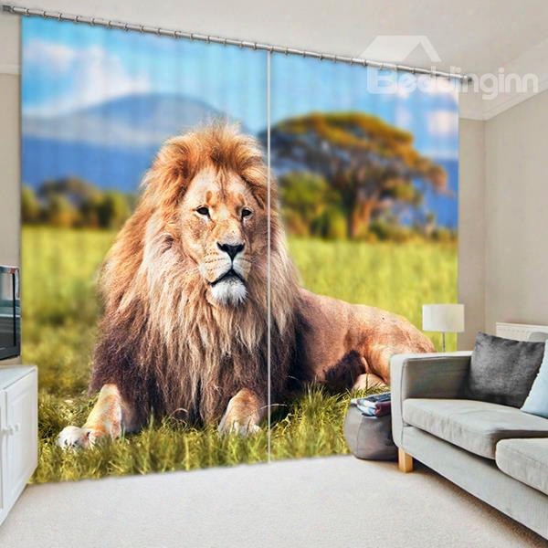 3d Vivid Majestic Lion Lying On The Grassland Printed Decorative And Blackout Curtain