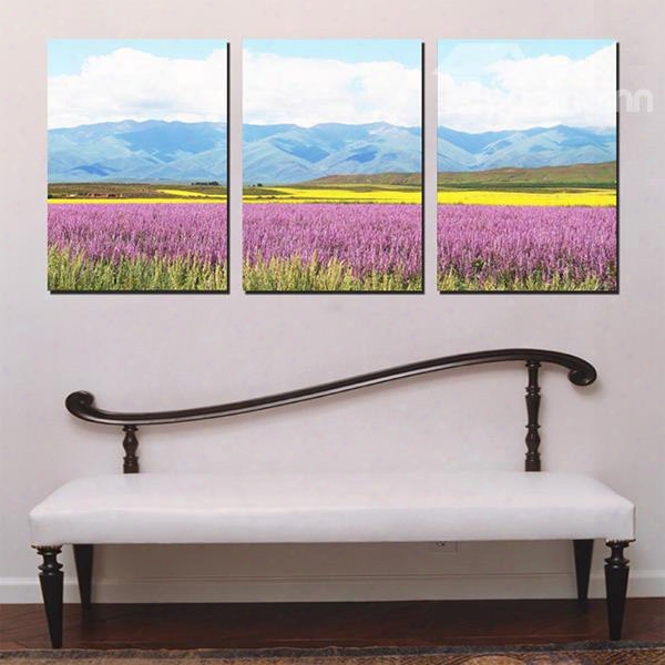 Beautiful Lavenda Field With Hills In The Distance Canvas 3-panel Wall Art Prints