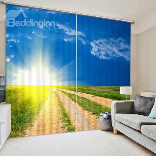 Bright Sunlight And Broad Crops Printed Pastoral Style 3d Blackout And Decorative Curtain
