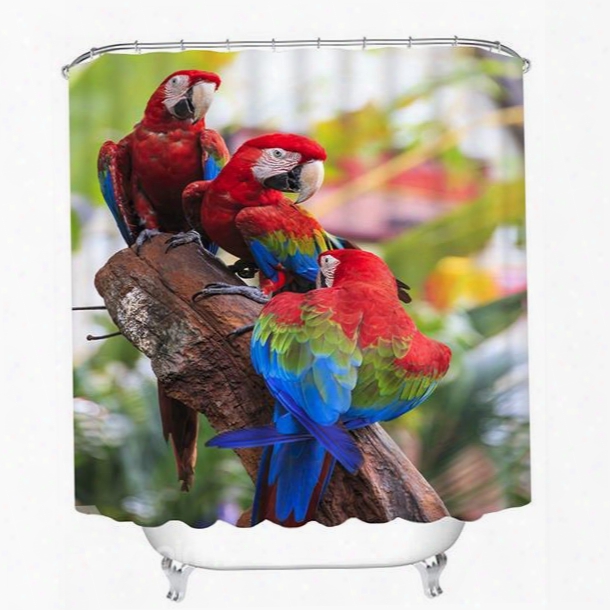 High-quality Couple Colored Parrots Print 3d Bathroom Shower Curtan