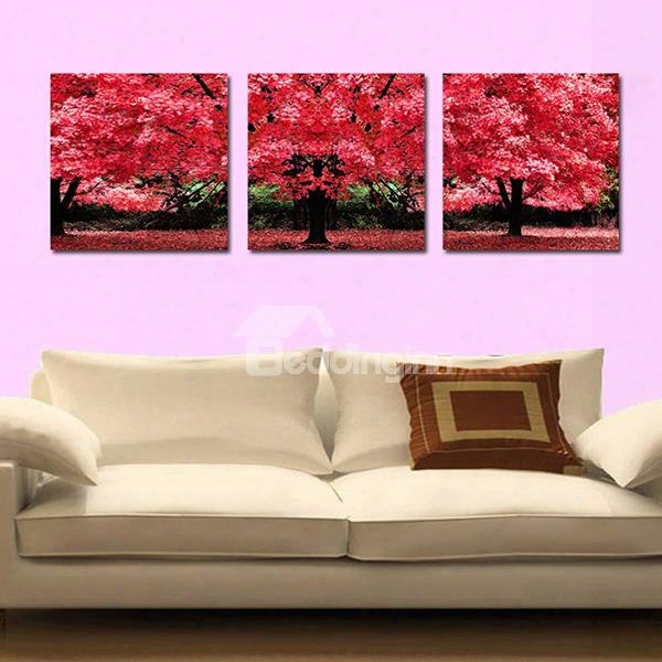 Marvelous Giant Red Leaf Tree 3-panel Canvas Wall Art Prints