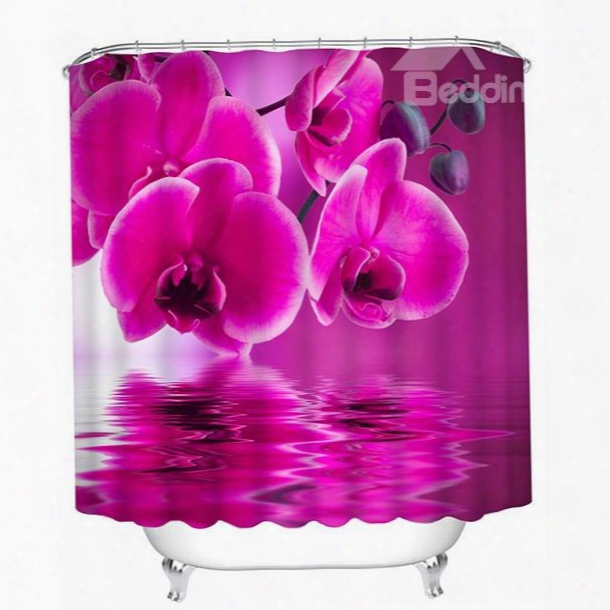 Pink Fringed Iris And Shadow 3d Printing Bathroom Shower Curtain