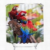 High-Quality Couple Colored Parrots Print 3D Bathroom Shower Curtain