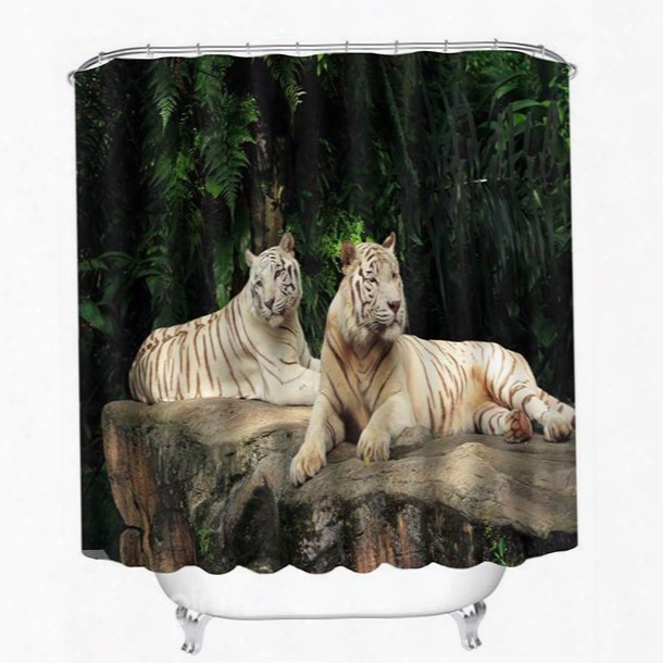 Two Lions Lying Down On The Stone Print 3d Bathroom Shower Curtain