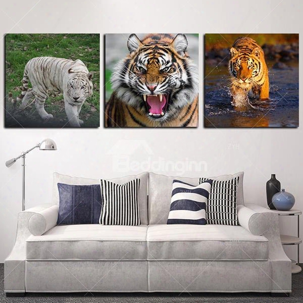 20␔20in␔3 Panels Tiger Printed Hanging Canvas Waterproof And Eco-friendly Framed Prints