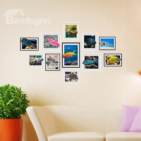 Free Colorful Fishes Phoo Frame Wall Sticker