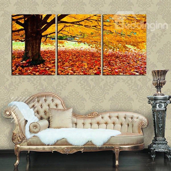 Golden Autumn Tree And  Leaves On Ground 3-panel Canvas Wall Art Prints