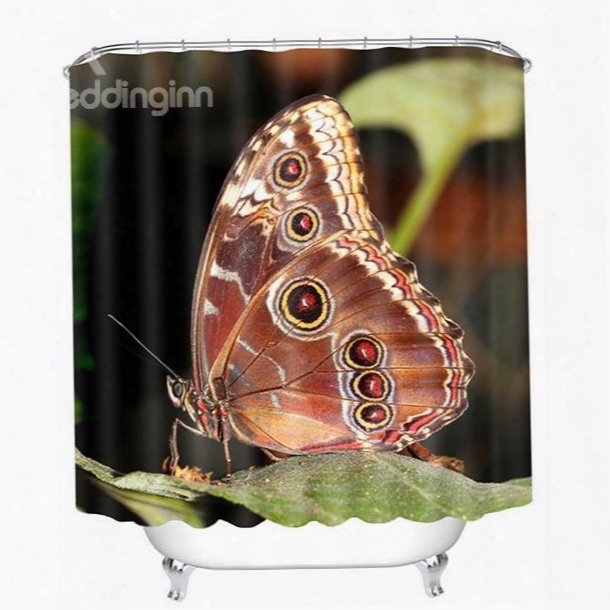 Lively Butterfly Parking On The Leaf Print 3d Bathroom Shower Curtain