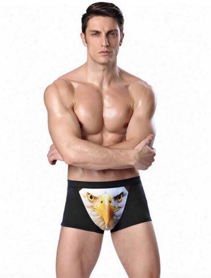 New Arrival Cute And Sexy Eagle Style Underwear Briefs
