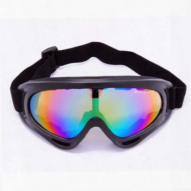 Unisex Snow Goggles With Dual Layer Anti-fog Lens Windproof Big Spherical Ski Goggles