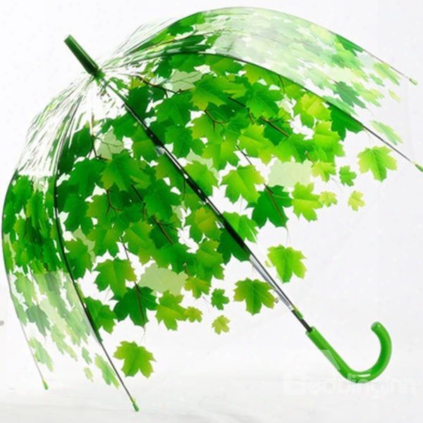 Beautiful Maple Leaves Print Transparent Water-proof Umbrella