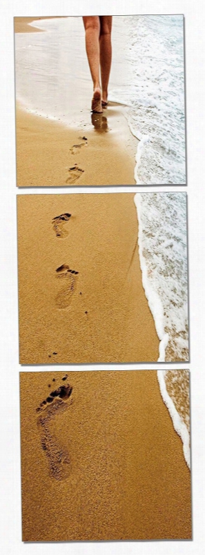 Modrest Footprints 3-panel Photo