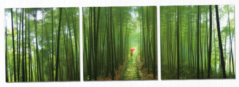 Modrest Forest 3-panel Photo On Canvas