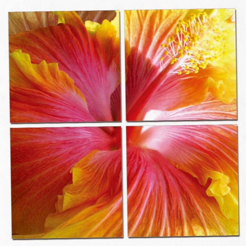 Modrest Hibiscus 4-panel Photo On Canvas