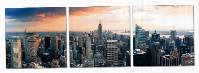 Modrest Nyc 3-panel Photo