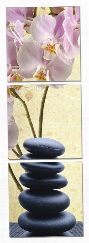 Modrest Yoga Stones 3-pael Photo On Canvas