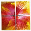 Modrest Hibiscus 4-Panel Photo on Canvas