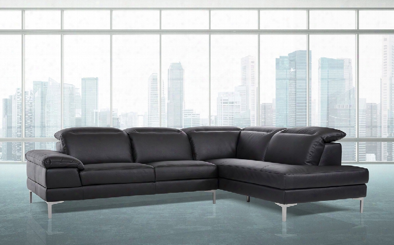Carnation - Modernb Lack Leather Sectional Sofa
